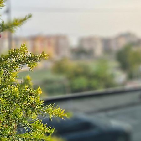 Flore Rooms Sarandë エクステリア 写真