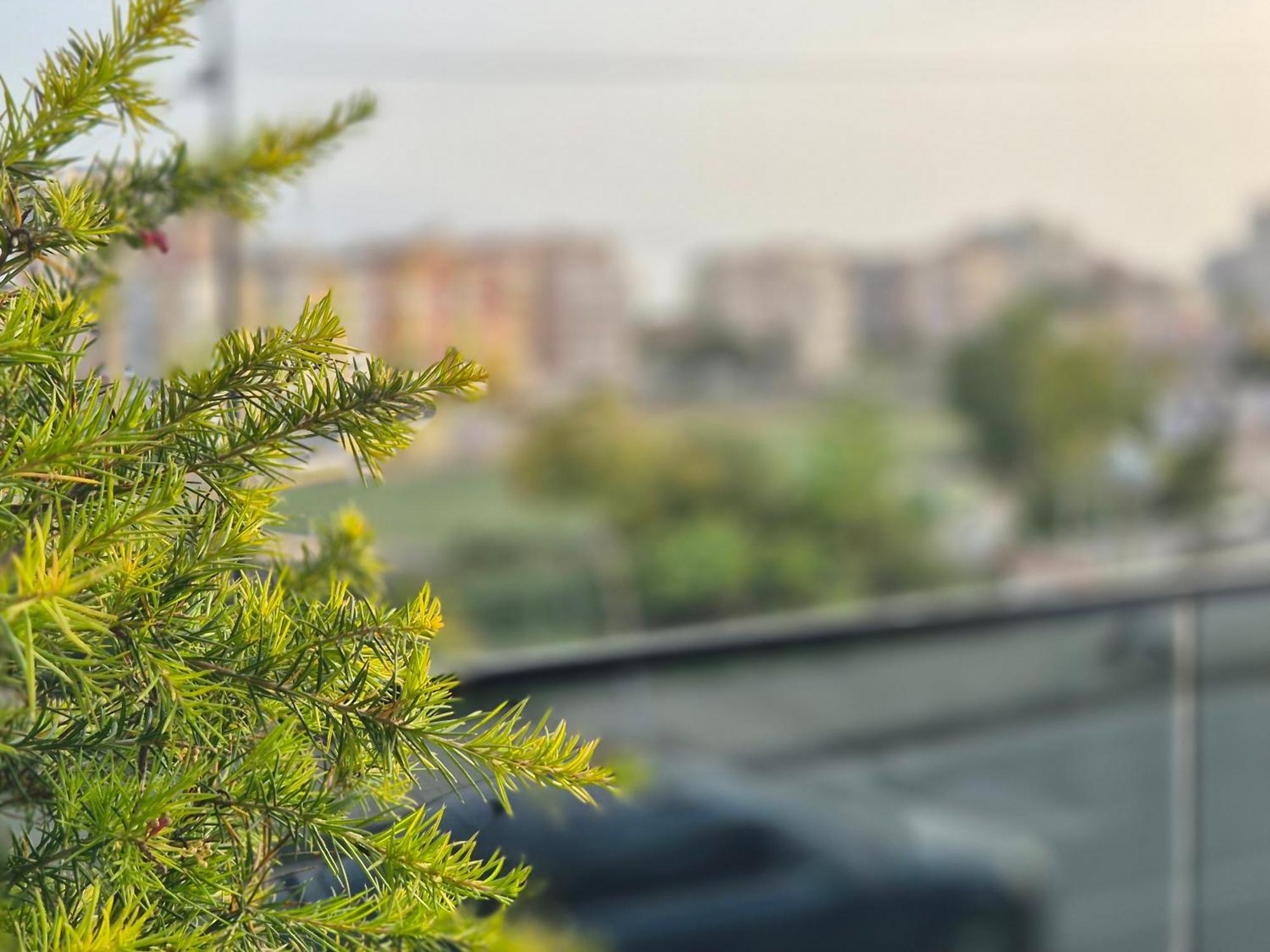 Flore Rooms Sarandë エクステリア 写真