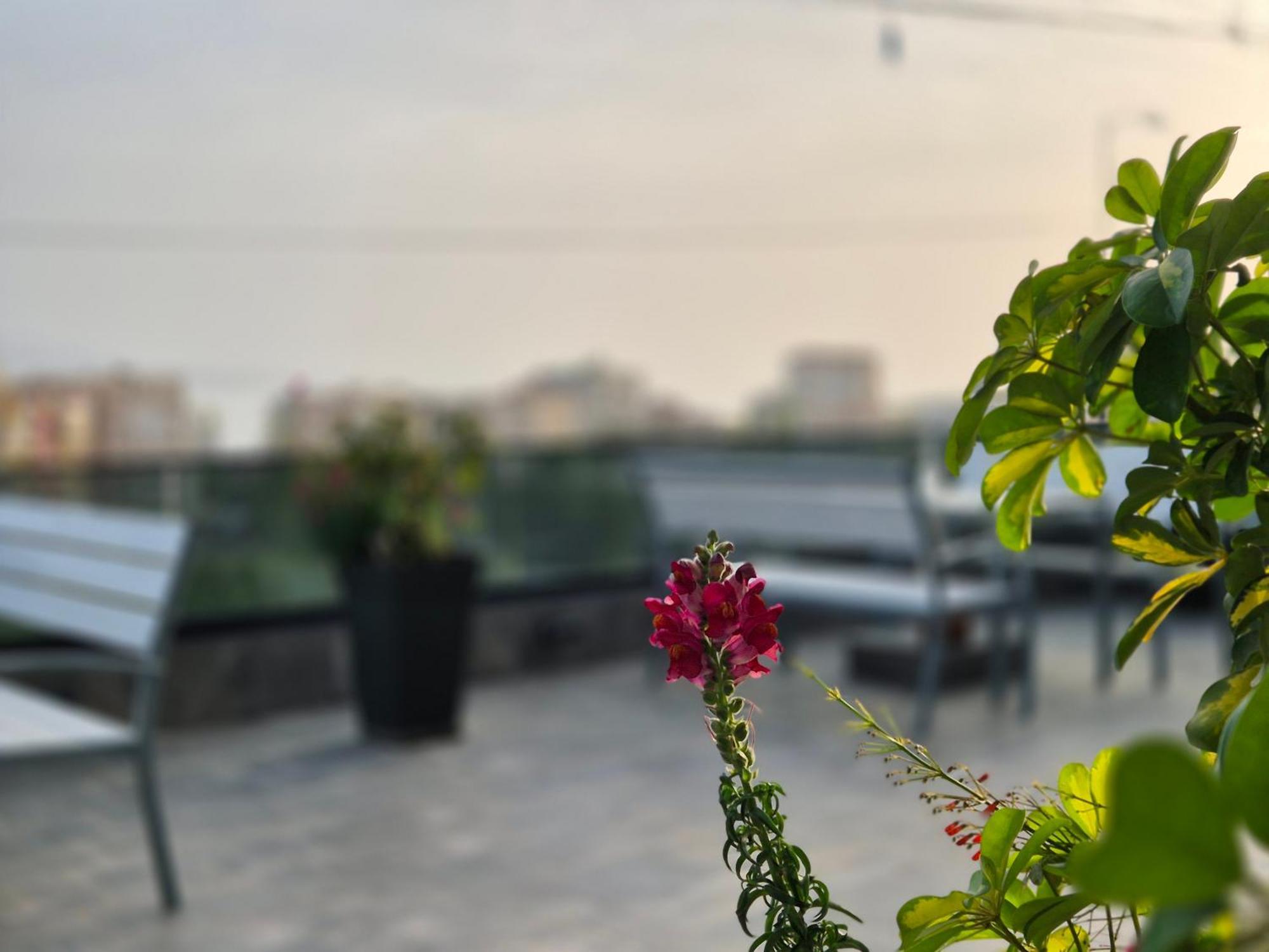 Flore Rooms Sarandë エクステリア 写真